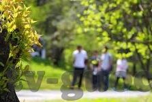 97超碰成人免费视频-网络内容选择的警示，理性面对网络视频的诱惑