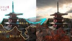 大象传媒app下载官方版-大象传媒app，连接创意与娱乐的桥梁