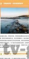 大象传媒网址是多少-探索大象传媒的数字门户，揭秘其网址