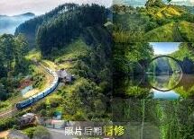 eeuss伦理片-伦理与艺术的边界，eeuss伦理片的多维度思考