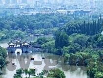 果冻传媒的网站是什么-探索果冻传媒的数字门户，一个创意与互动并蓄的在线平台