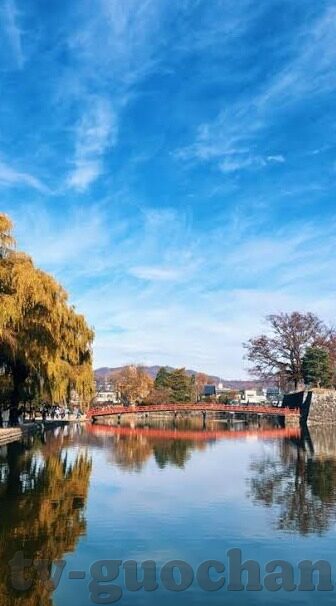 果冻传媒麻豆系列视频压缩-探索果冻传媒麻豆系列视频的压缩艺术，技术与创意的完美融合