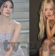 麻豆传媒 少年阿宾-少年阿宾的启航，麻豆传媒的独特视角