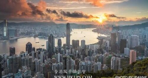 麻豆精品导航av-寻找互联网的绿洲，麻豆精品导航与现代网络文化的交汇点