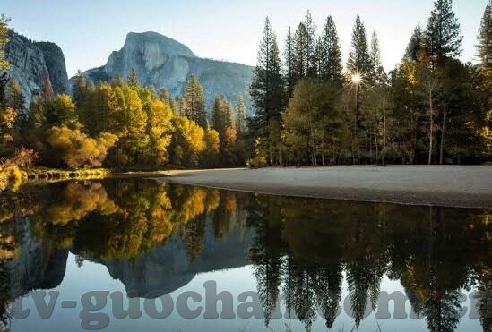 麻豆免费网站视频-探索麻豆免费网站视频的多元化影像世界