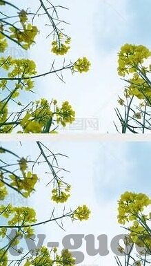 麻豆影视app哪里下载-探索安全下载麻豆影视APP的正确路径