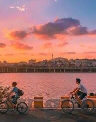 糖心app合集-探索糖心APP合集，有关融合与创新的艺术