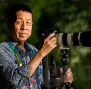 糖心app软件下载安卓-探索糖心APP的精彩体验，安卓平台的秘密花园
