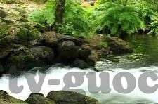 vlog糖心视频app-探索Vlog糖心视频App，不只是短视频的全新体验