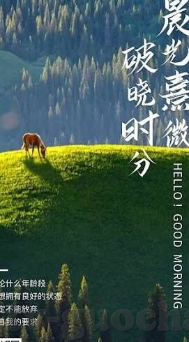 外国成人免费视频-探索成人内容教育的边界，理性对话与信息素养的构建