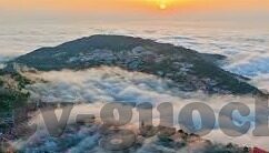 中文字幕下载-探索中文字幕下载的多元视角与实用指南
